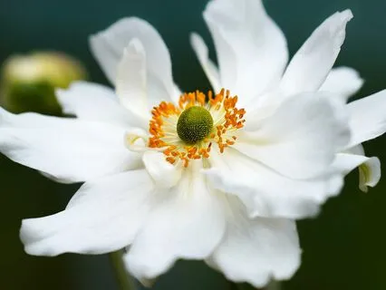 Bedtime Talk: The Unwavering Essence Of Your Inherent Worth