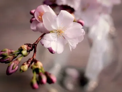 Bedtime Talks For Self Nourishment