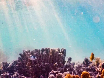 Bedtime Underwater Snorkeling Adventure For Children