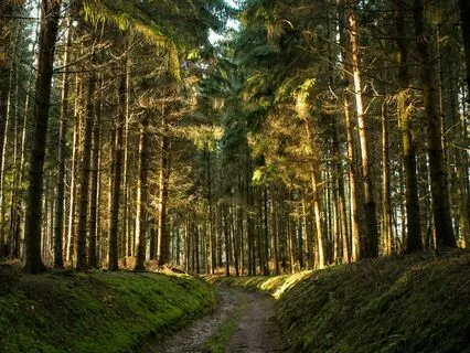 Bedtime Visualisation & Breathwork