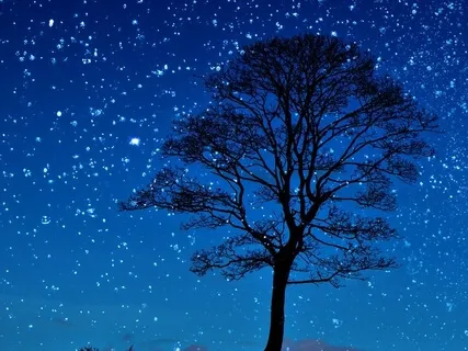 Bedtime Voyage (Longer Version) Voyage Endormant