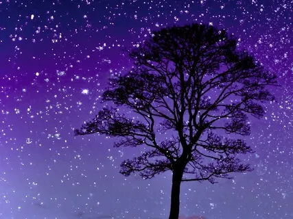 Bedtime Voyage (Shorter Version)  Voyage endormant