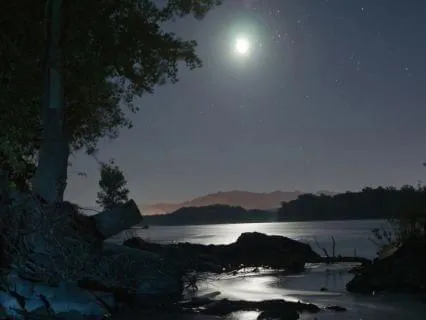 Bedtime Wind-Down For Busy Minds (EFT Tapping)