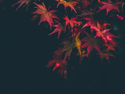 Bedtime Yoga & Sound Bath 