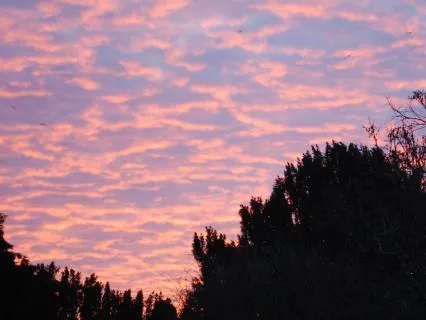 Bedtime Yoga Nidra For Sleep