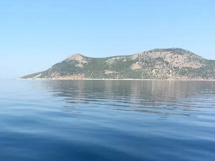 Bee Breath Pranayama For Vagus Activation