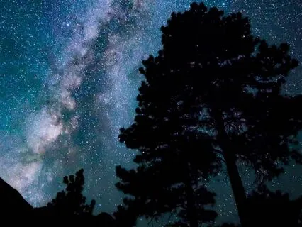 Before Bed Bliss - Delta Sleep Magic