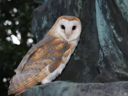 Before Sleep: Ask Yourself These 3 Questions...