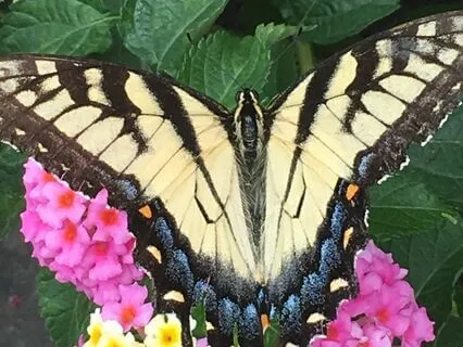 Before The Big Presentation: Energy Boost Sales Meditation