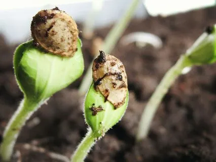 Let The Path Find You