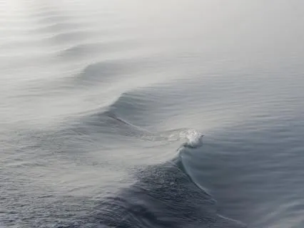 Before The World Appears