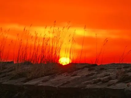 Before The World Begins