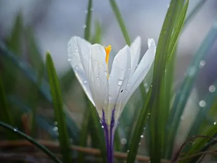 Before The World Wakes: Morning Clarity And Calm