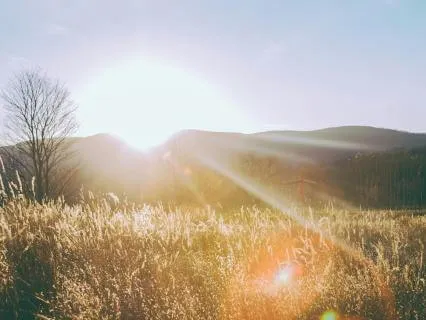 Before You Begin Your Day: A Gentle Morning Meditation