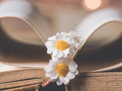 Before You React, Read It Again