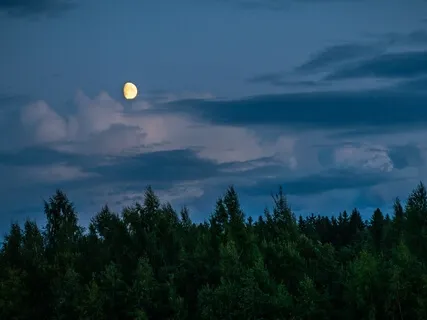 Before You Sleep - Preparing For Blissful Sleep