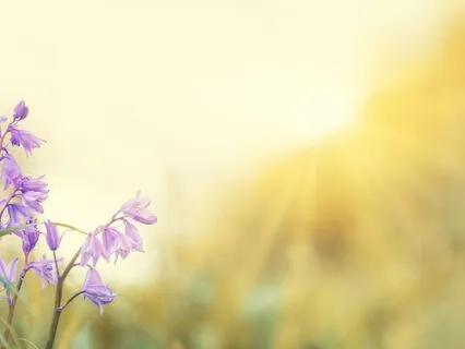 Before You Start Your Day