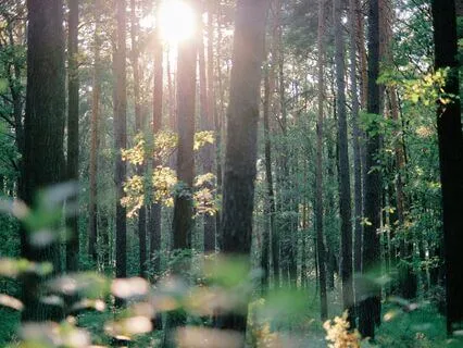 Befriending Anger: A Parts Work Practice