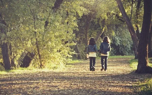 Befriending Emotions