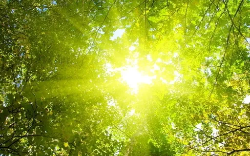 Befriending Emotions Practice