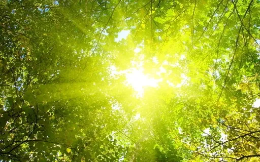 Befriending Emotions