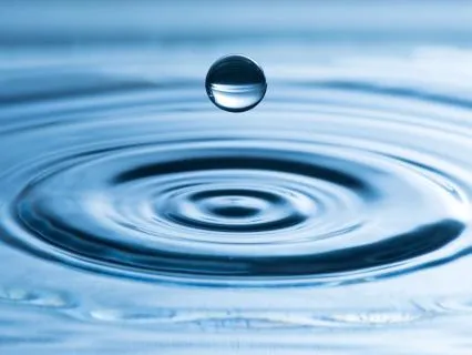 Befriending Emotions