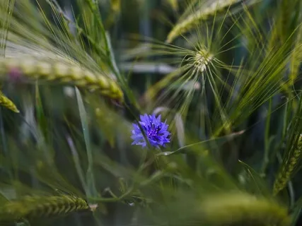 Befriending Your Own Self