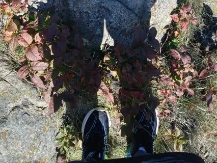 Befriending Our Shadow