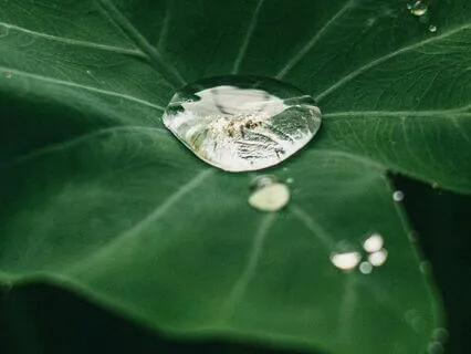 Befriending Your Alcohol Addiction