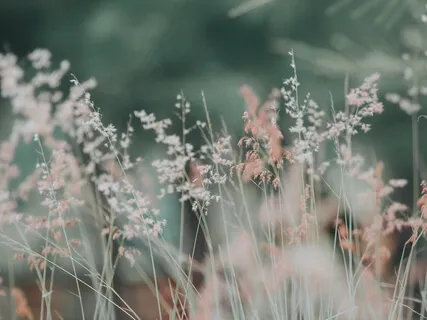 Befriending Your Body 