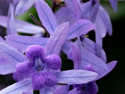 Befriending Your Inner Critic