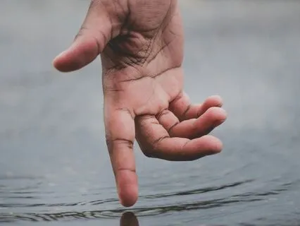 Befriending Your Nervous System