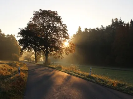 Begin A Morning Ritual