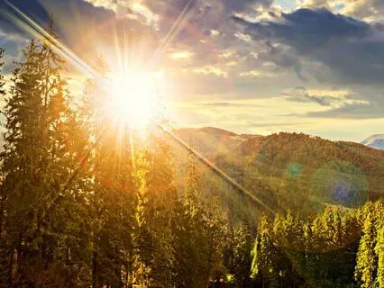 Begin Again ~ A Mindful Journey From Letting Go To Joy