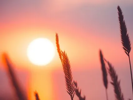 Begin Again: A Gentle Morning Practice