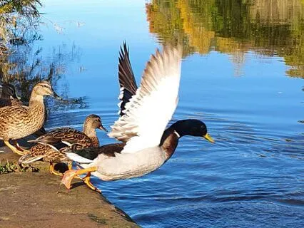 Begin Again - Embracing The Power Of Starting Over