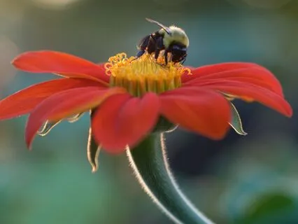 Begin Again - Poem And Meditation For Starting Afresh