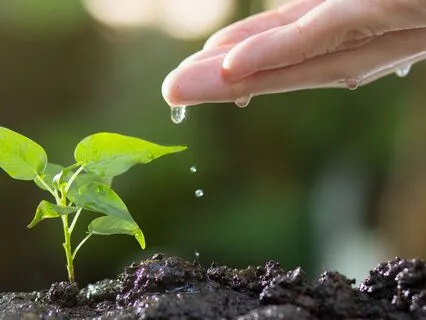 Begin Again: Self-Compassion For Setbacks & Resilience