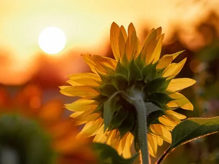 Begin The Day With Clarity