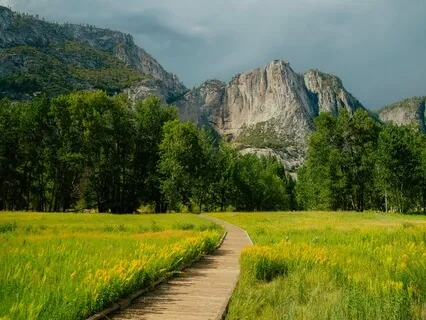 Begin With Awareness 