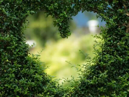 Begin With Compassion For Yourself