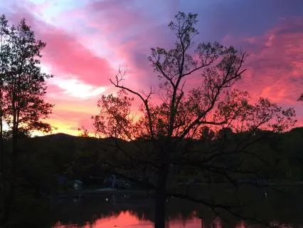 Begin With Grace: A Morning Gratitude Meditation
