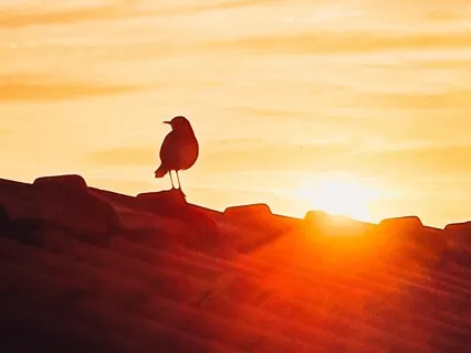 Begin Your Day With A Smile