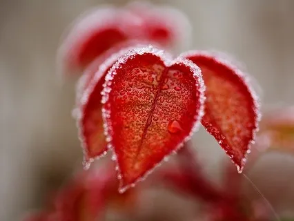 Begin Your Day With Intention Setting