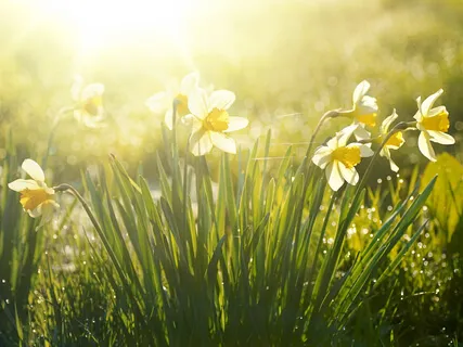 Begin Your Day With Love