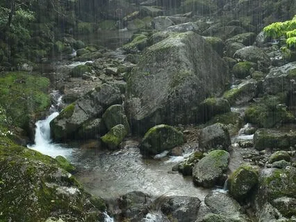 Begin Your Day With Rain Sounds And Positive Affirmations