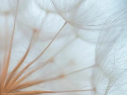 Beginner Awareness Meditation