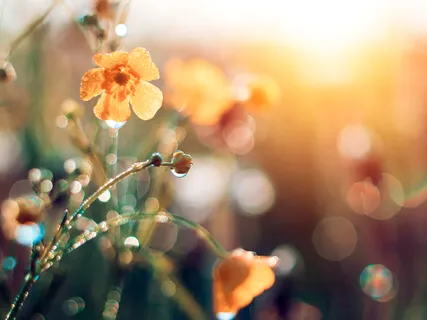 Beginner Bites Series - 5 Minute 3 Part Deep Breath