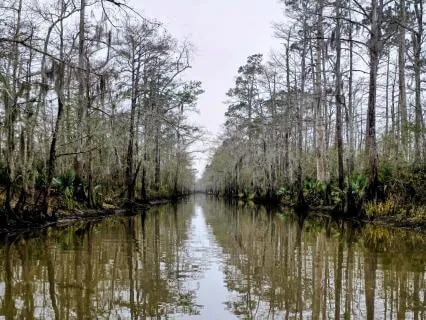 Beginner Dynamic Breathwork With Muscle Contraction