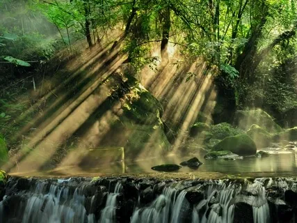 Beginner Gratitude Meditation